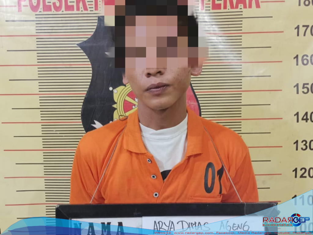 Polsek Hamparan Perak Tangkap Pelaku Penggelapan Sepeda Motor di Desa Bulu Cina